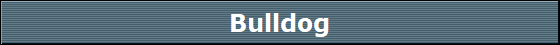 Bulldog